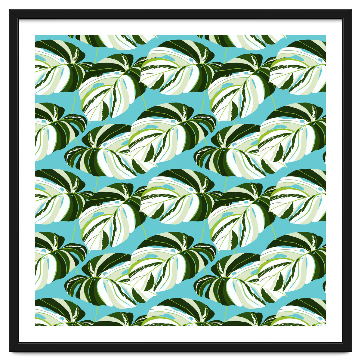 Summer Variegated Monstera | Rainforest Jungle botanical Plants Illustration | Boho Tropical Nature