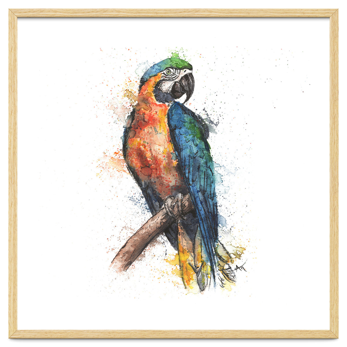 Parrot - Wildlife Collection