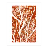 Desert Colours Collection 2 (Print Only) thumbnail