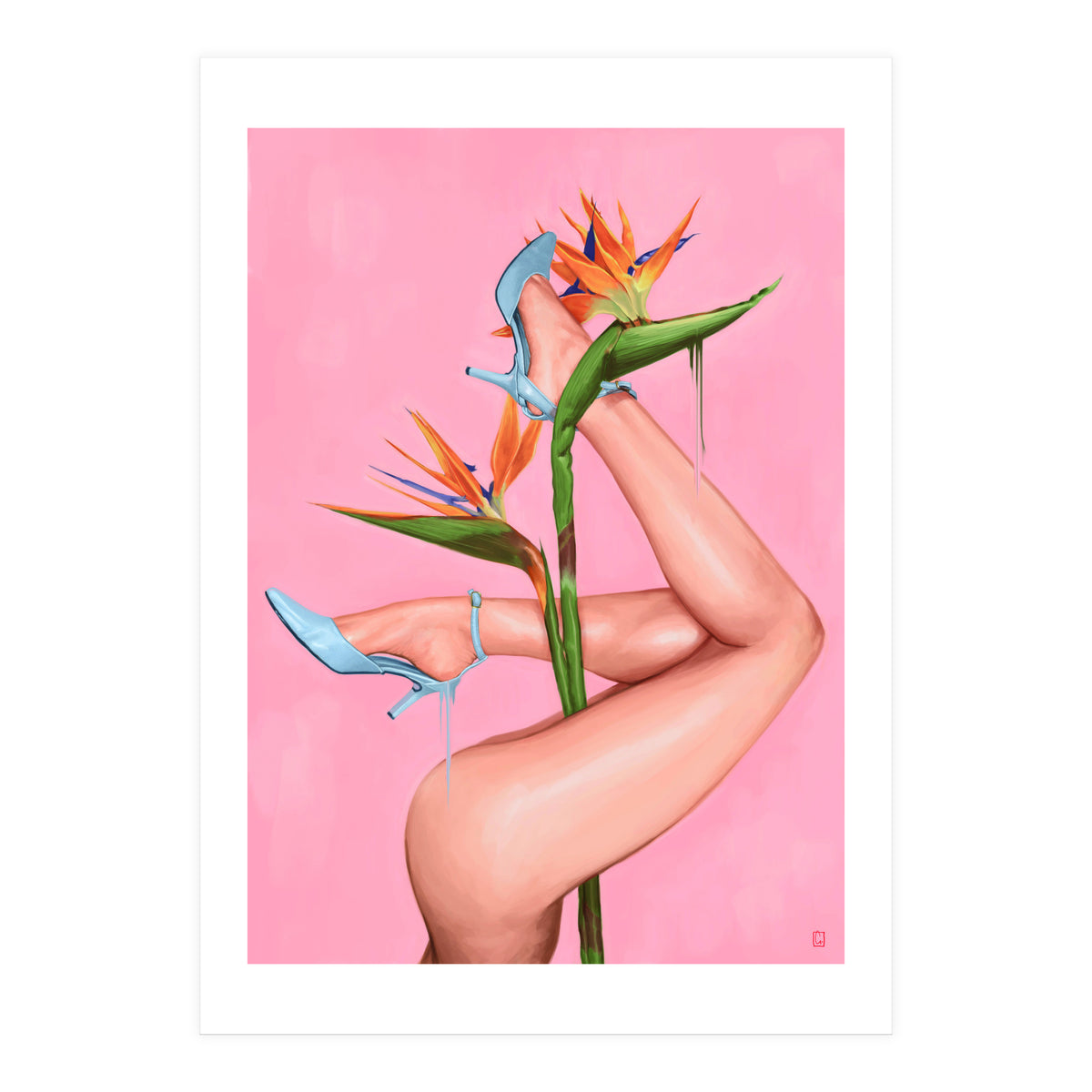 Bird Of Paradise (Print Only)