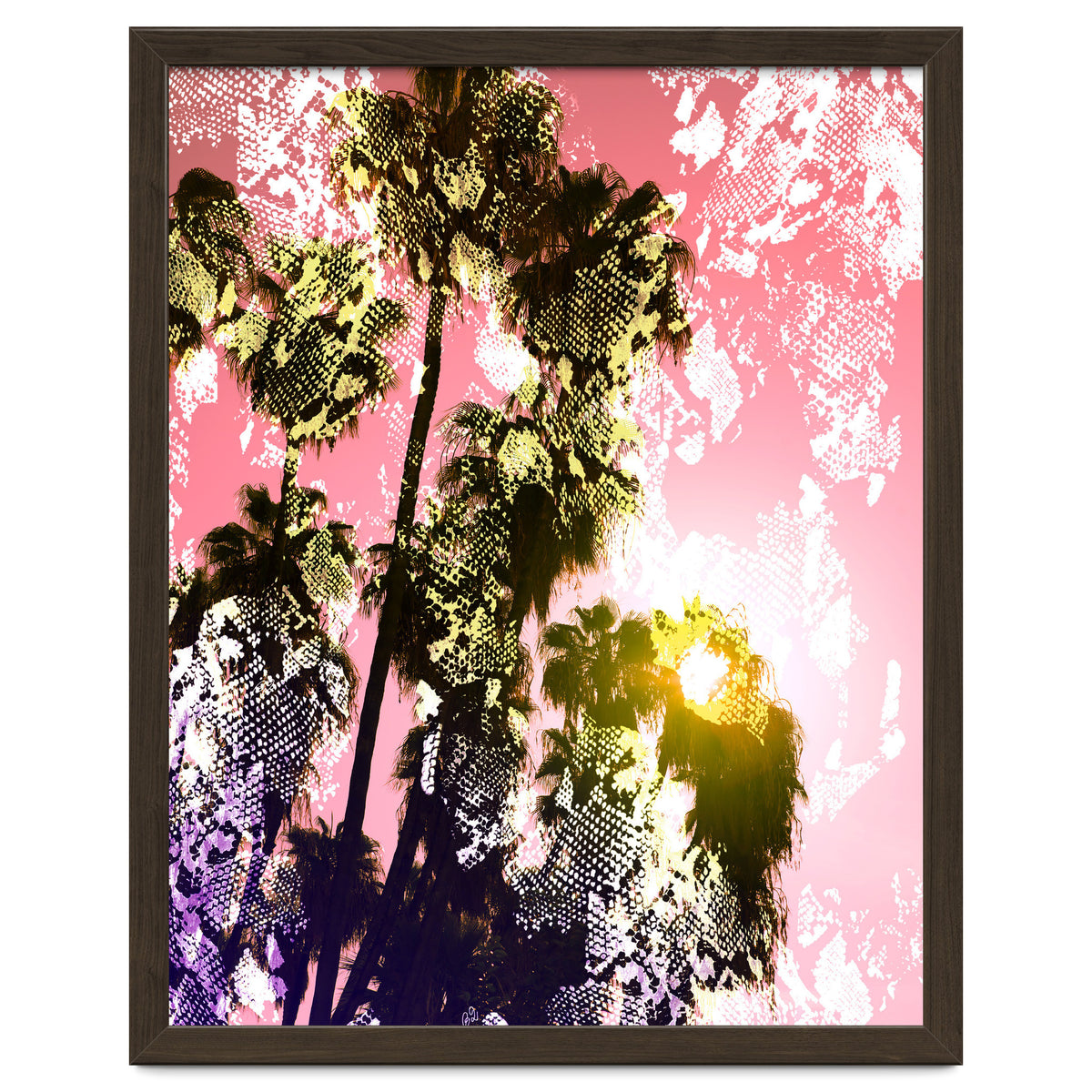 Snake sunset in paradise