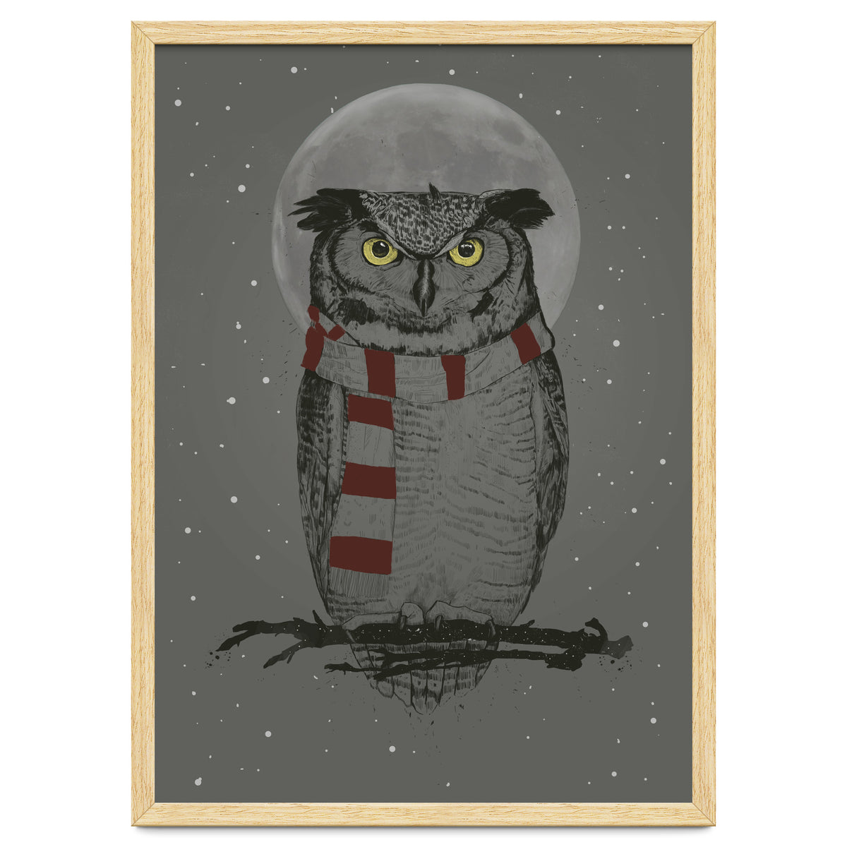Winter Owl