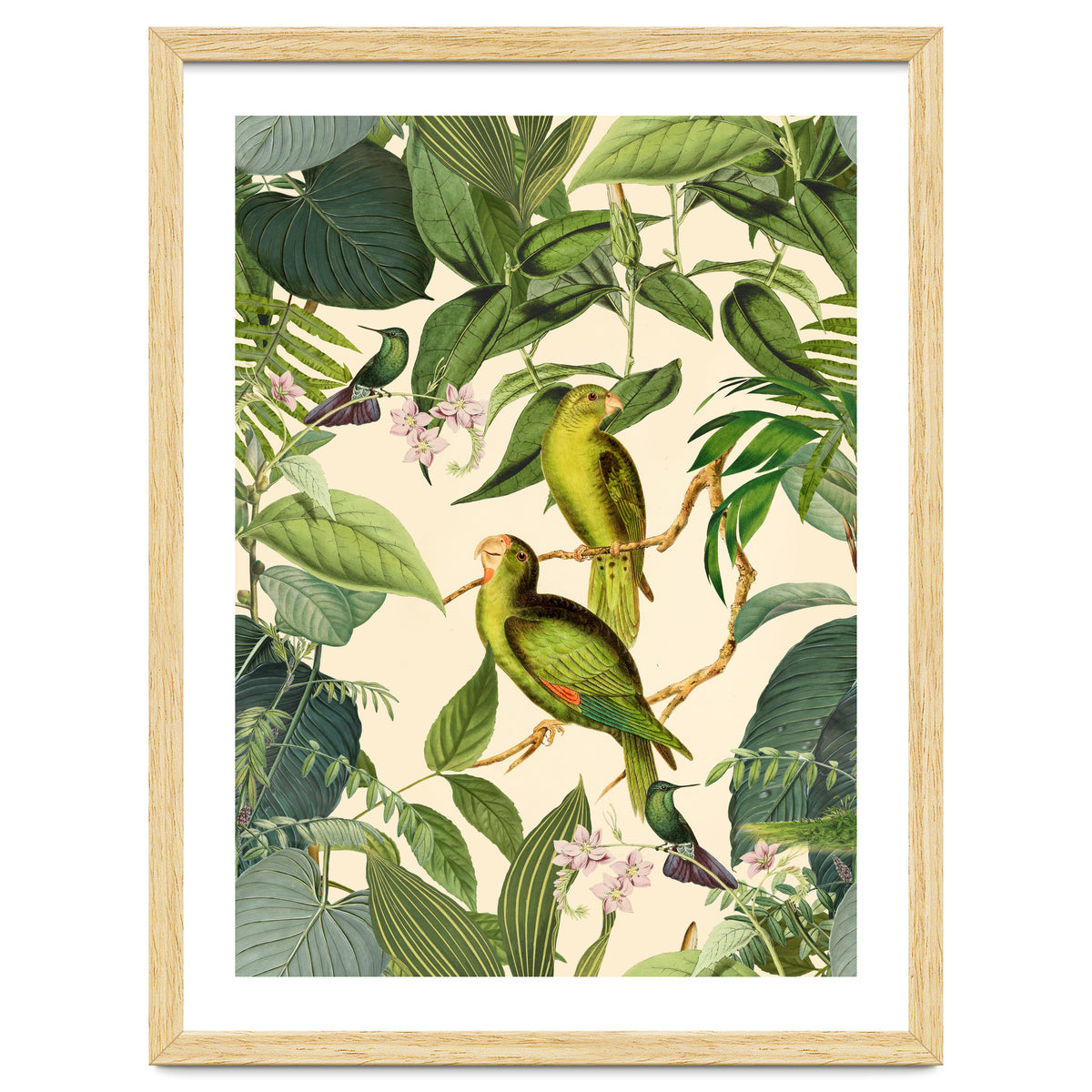 Green Jungle Parakeets