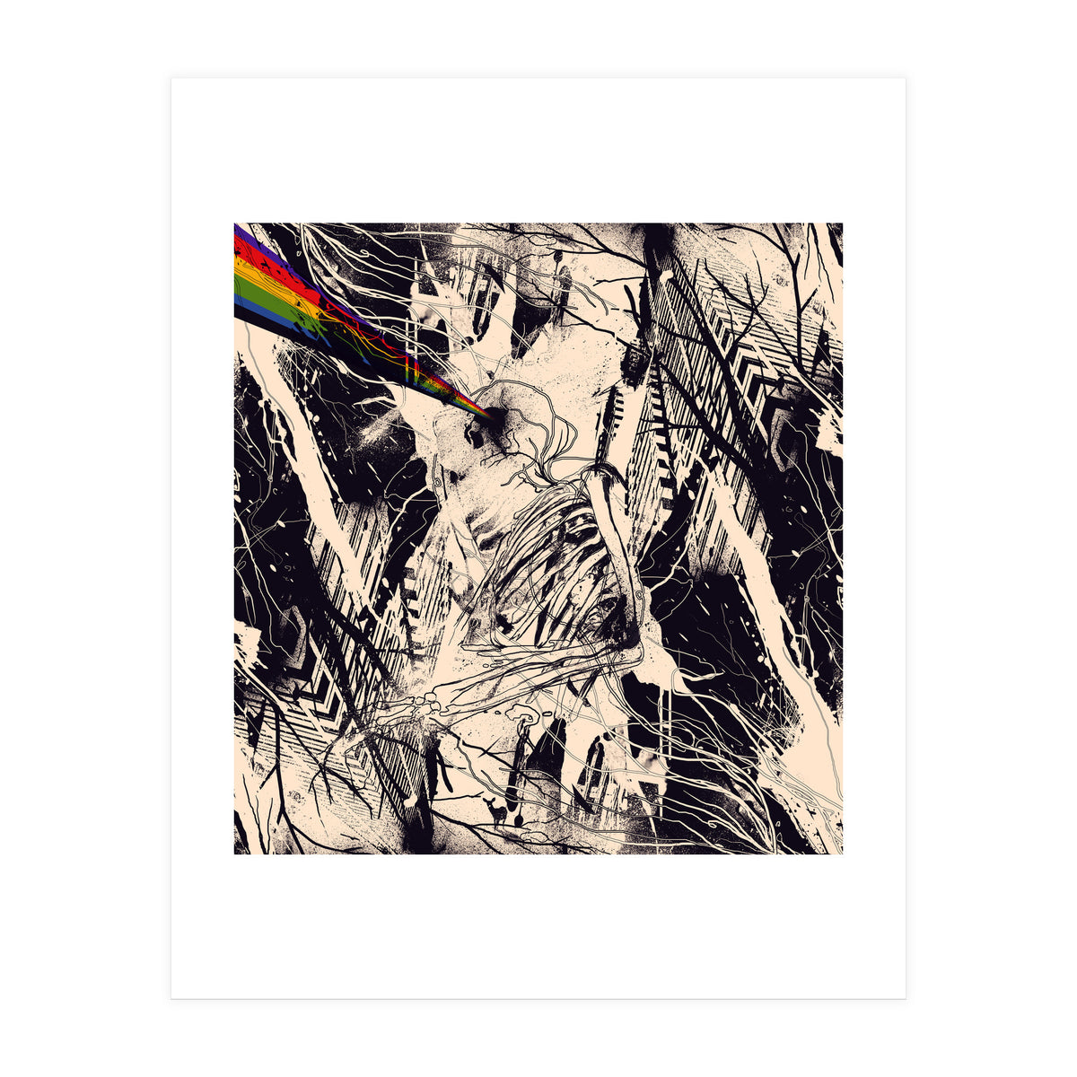 Envision (Print Only)