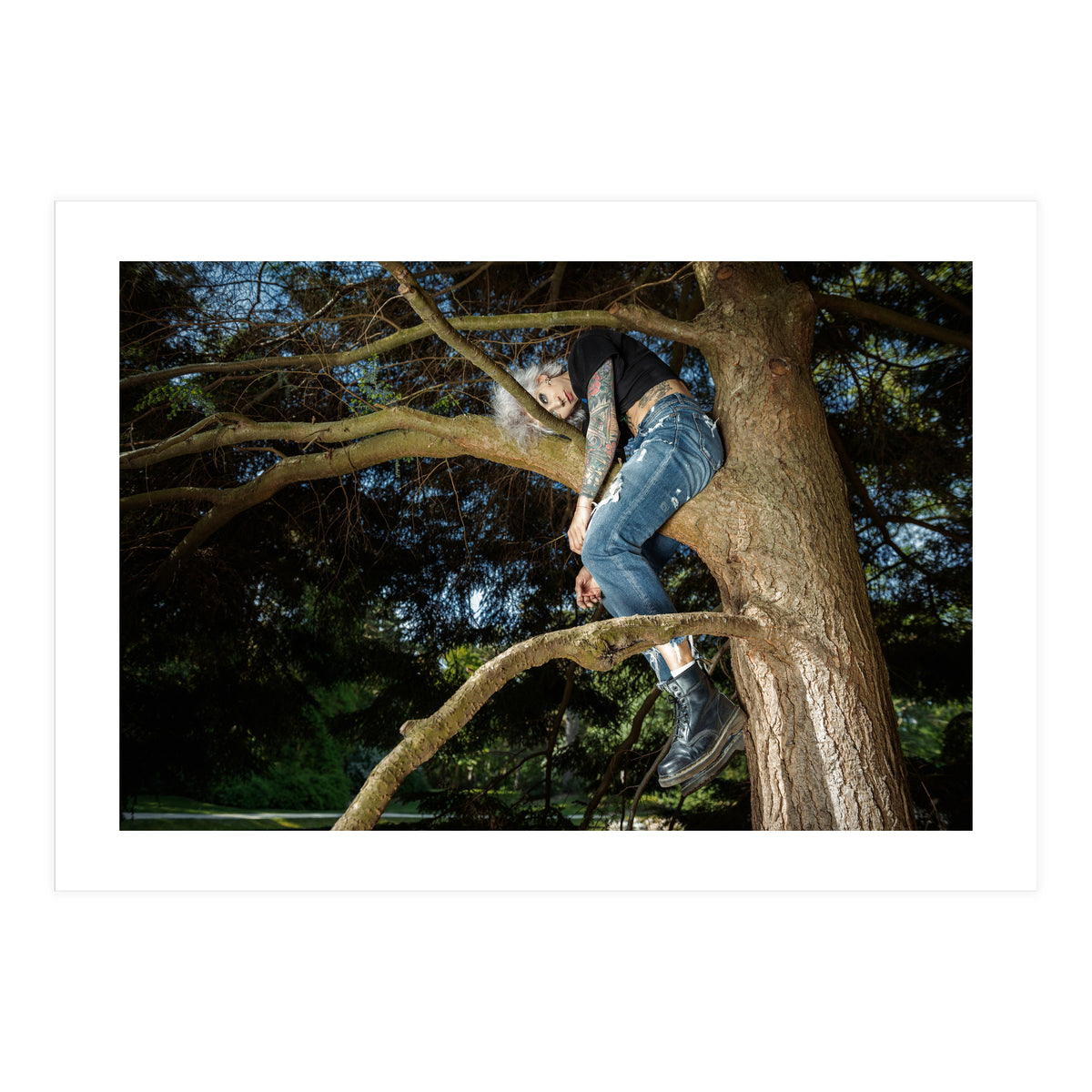 Tree Climber (Print Only)