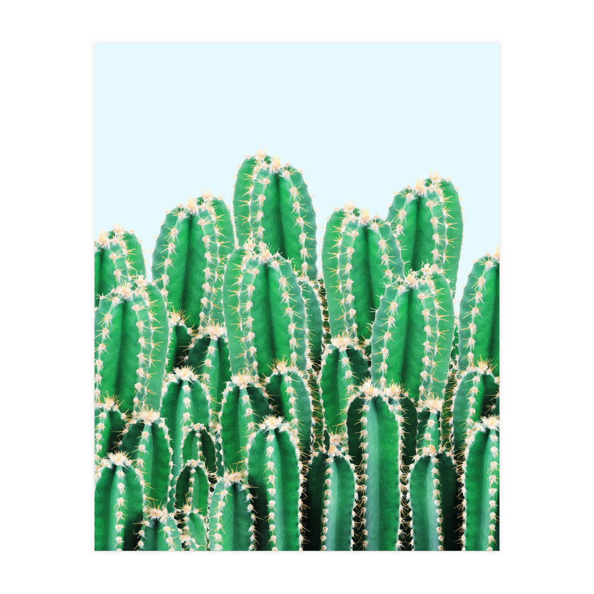 Kaktos II (Print Only)