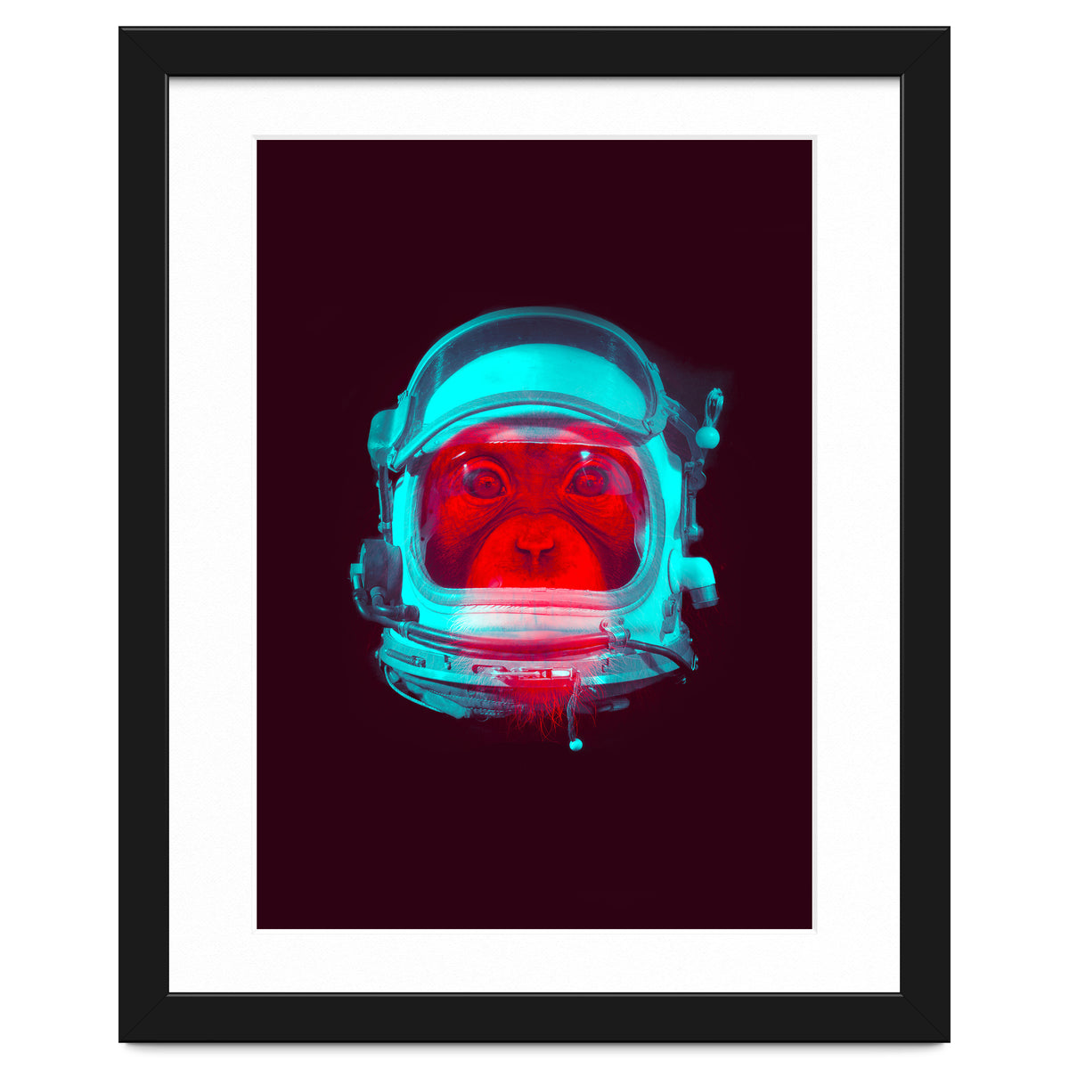 Astronaut
