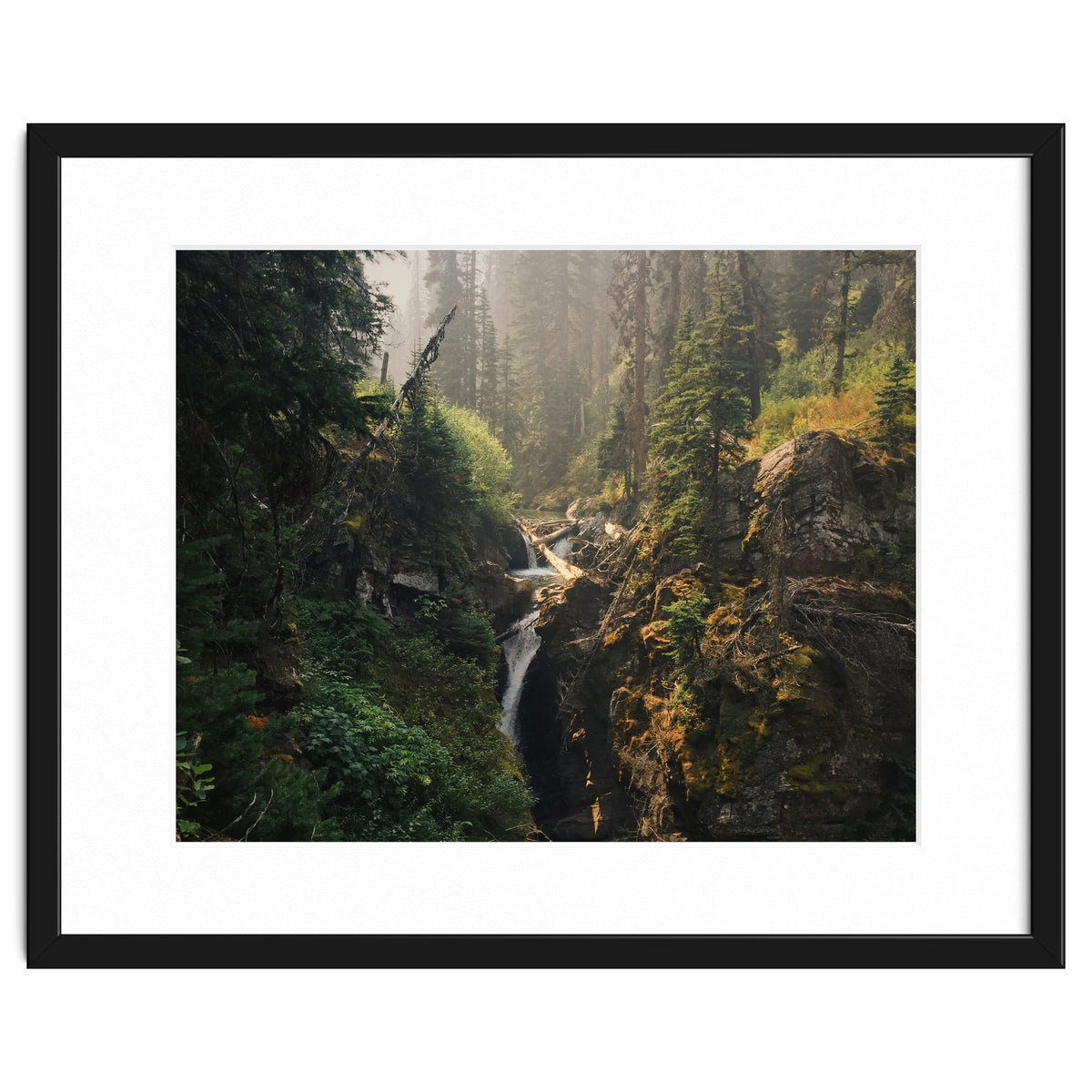 Glacier National Park I