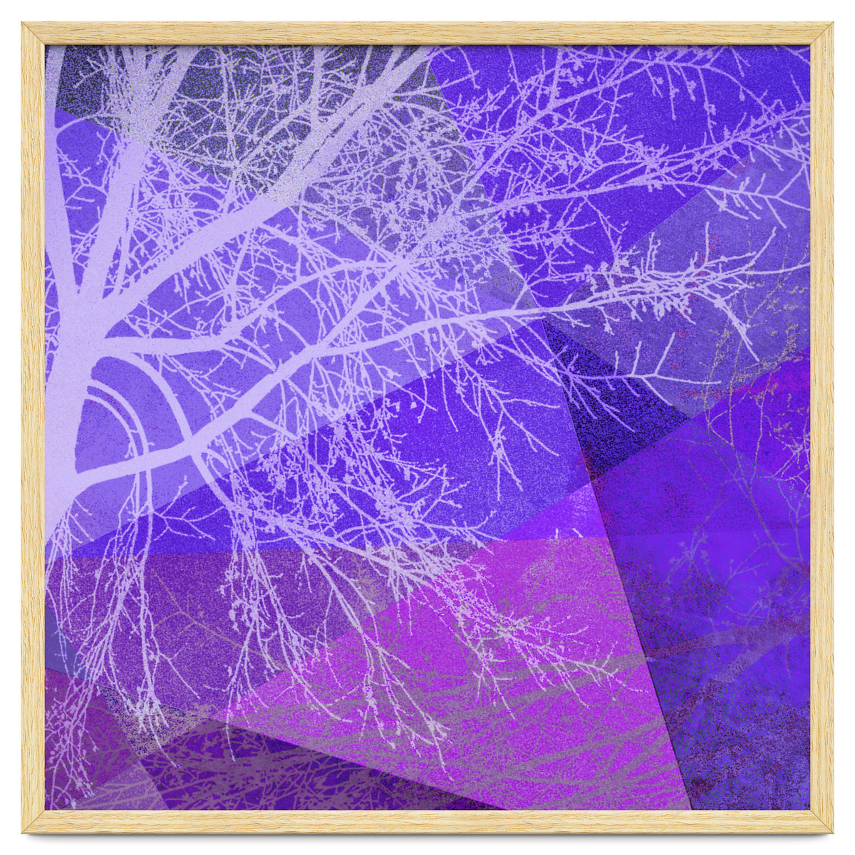 P19-D2 Trees and Triangles