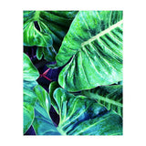 Another Botanical (Print Only) thumbnail