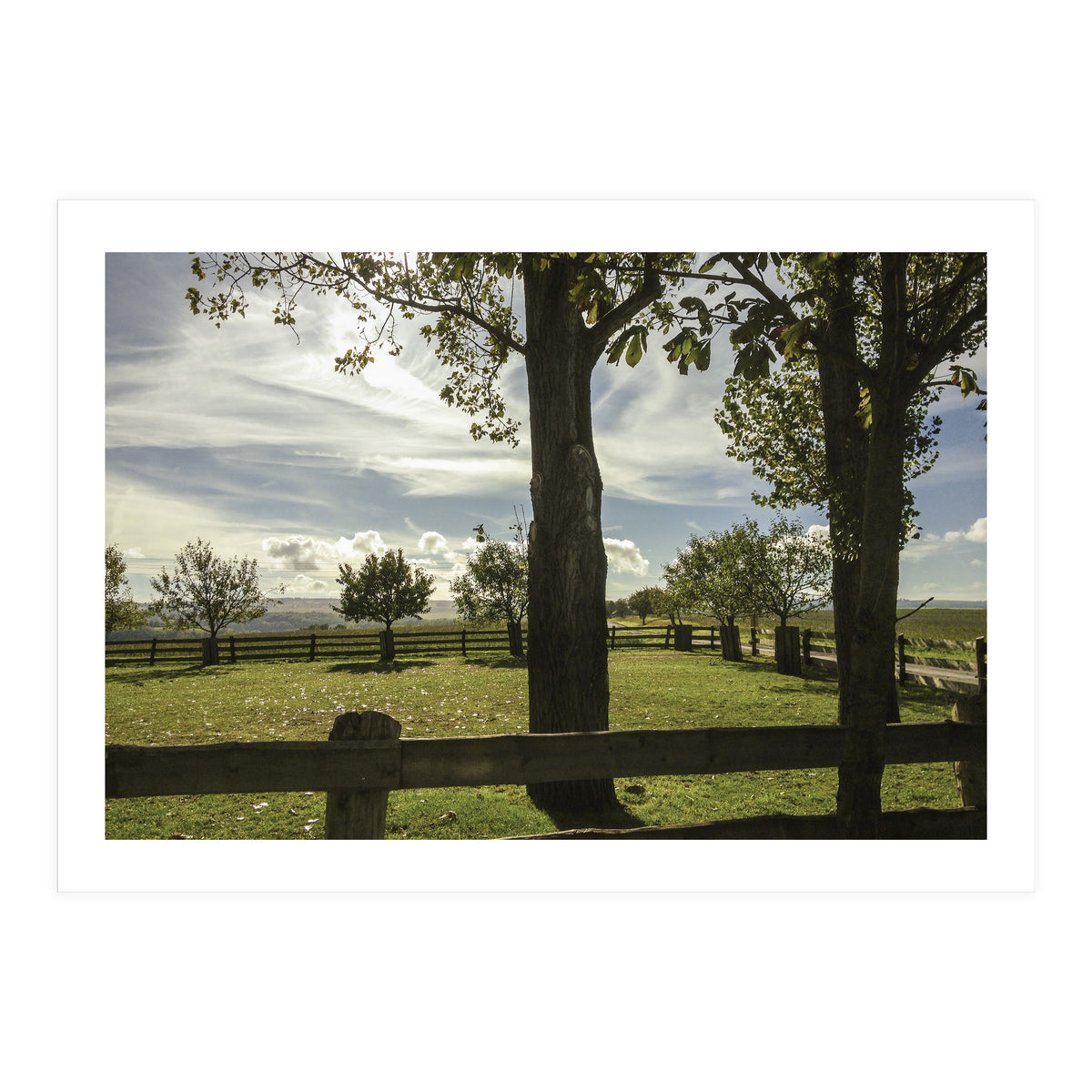 Bucolism 2 (Print Only)