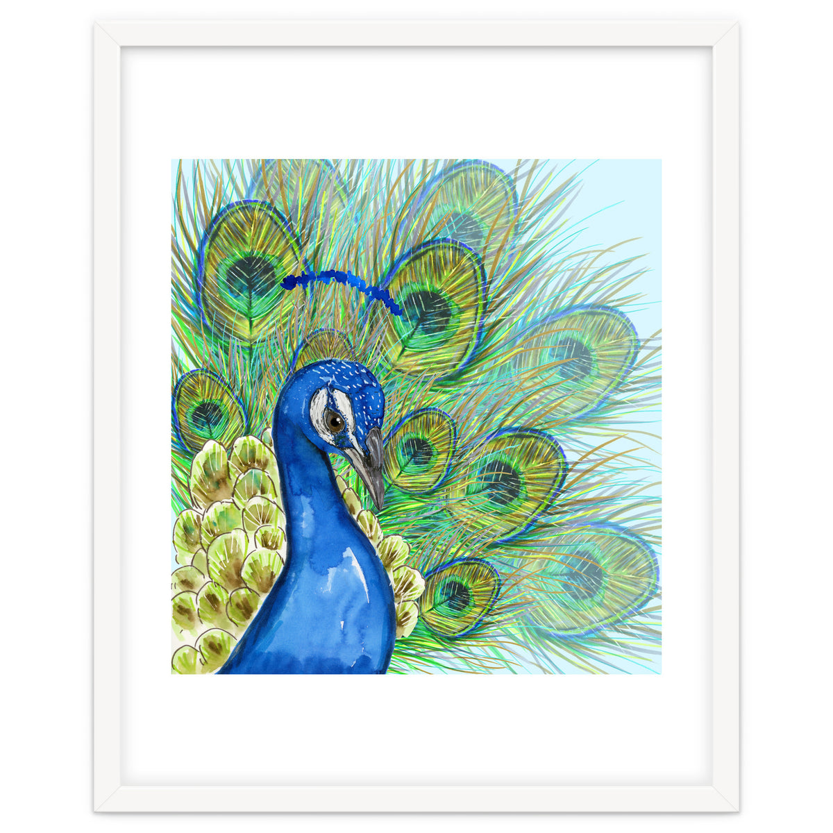 Peacock portrait