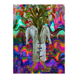 Estrella Del Arte 2 (Print Only) thumbnail