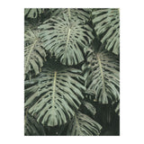 MONSTERA LEAVES (Print Only) thumbnail