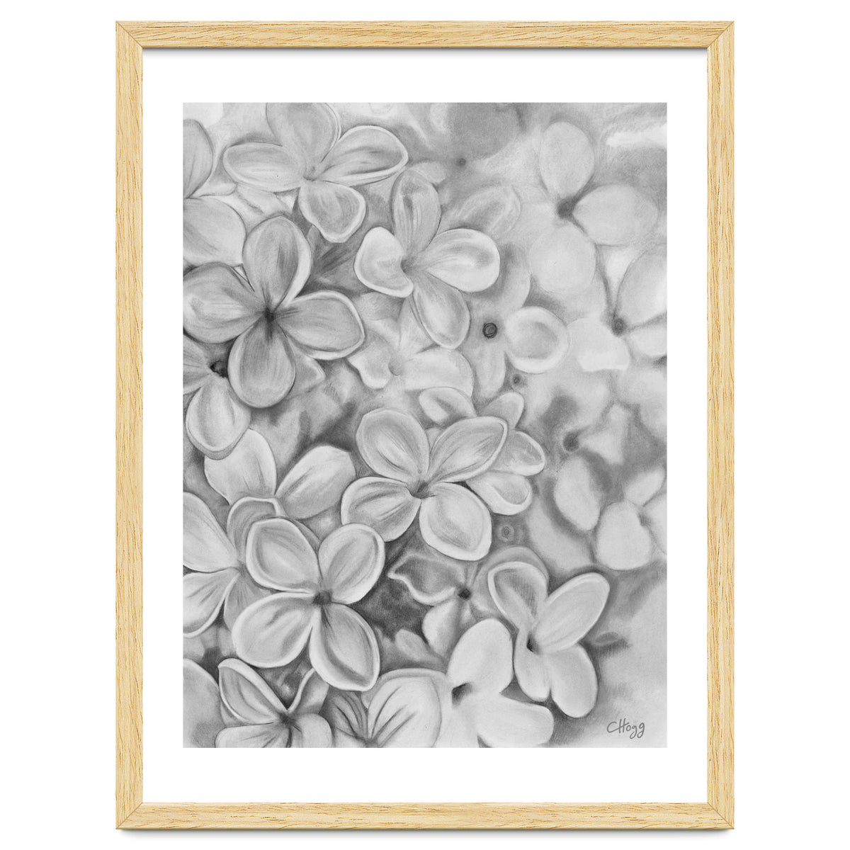 The Essence Of Spring in Monochrome