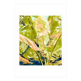 Blush Banana Tree, Tropical Banana Leaves Painting (Print Only) thumbnail