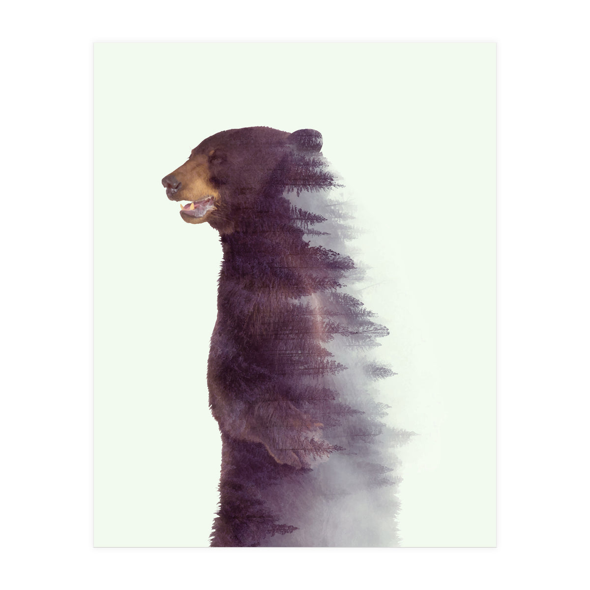 Awakening (Print Only)