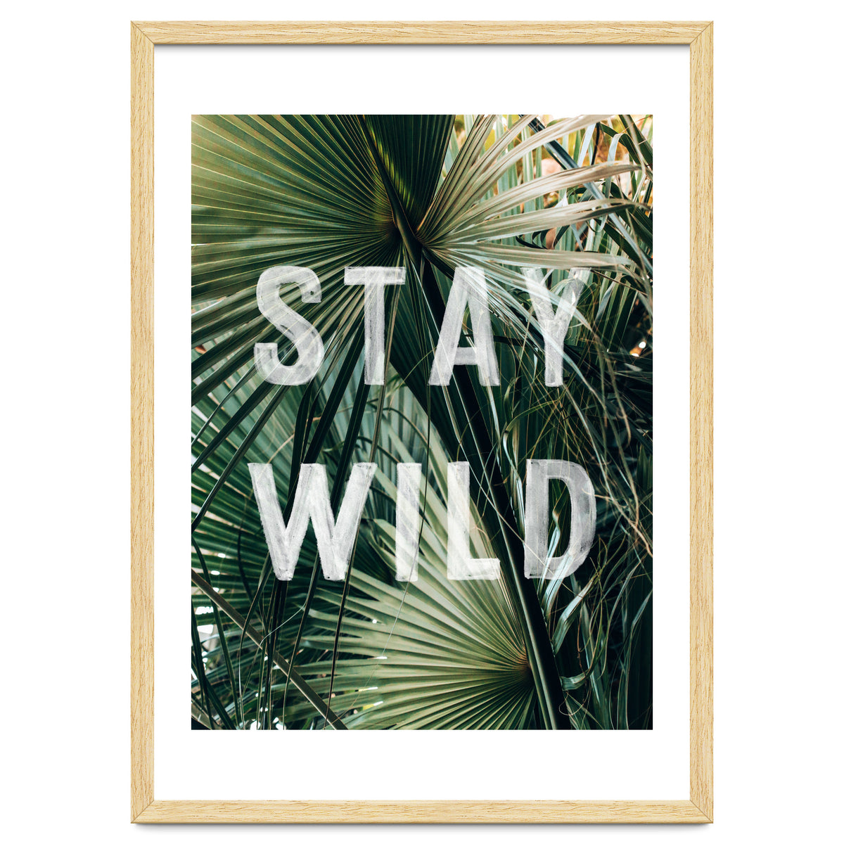 Stay Wild