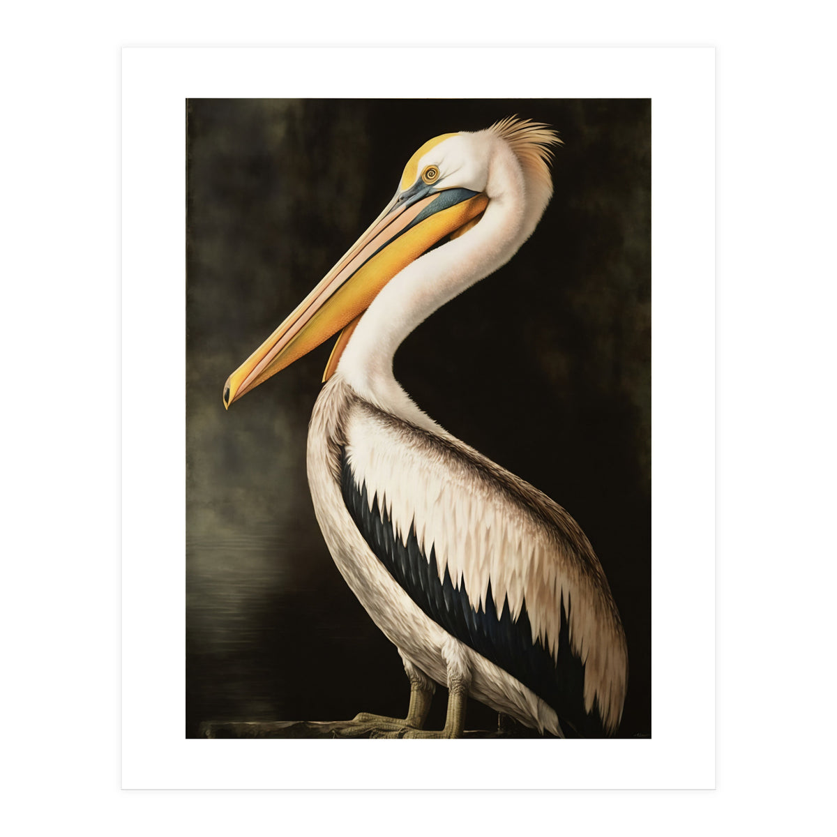 Pelican Oil Painting (Print Only)