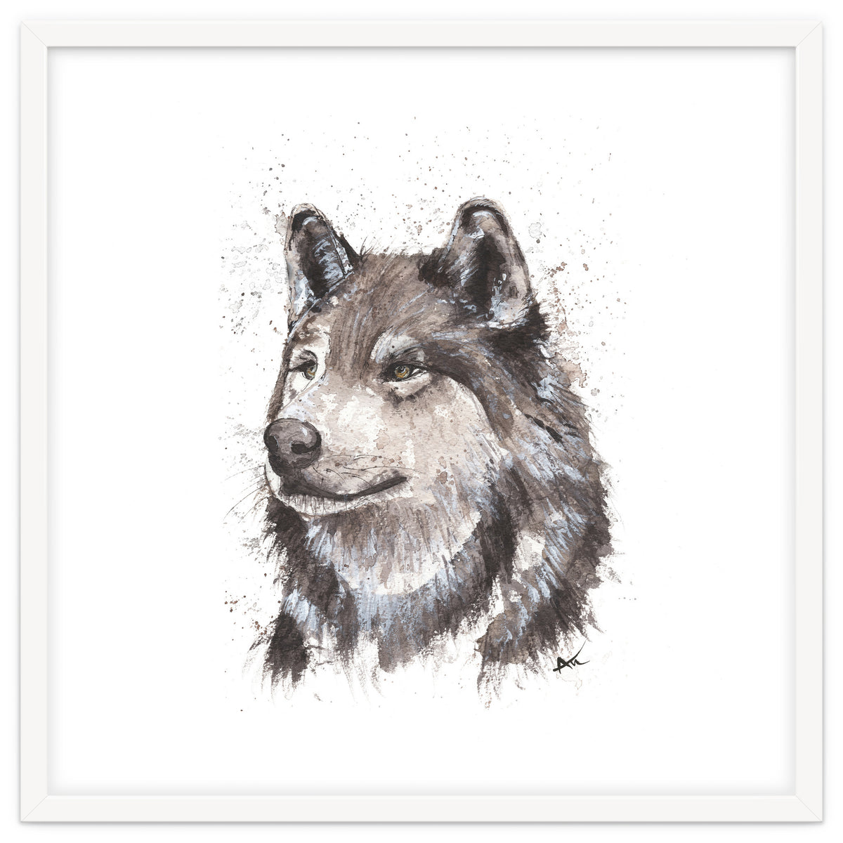 Wolf - Wildlife Collection
