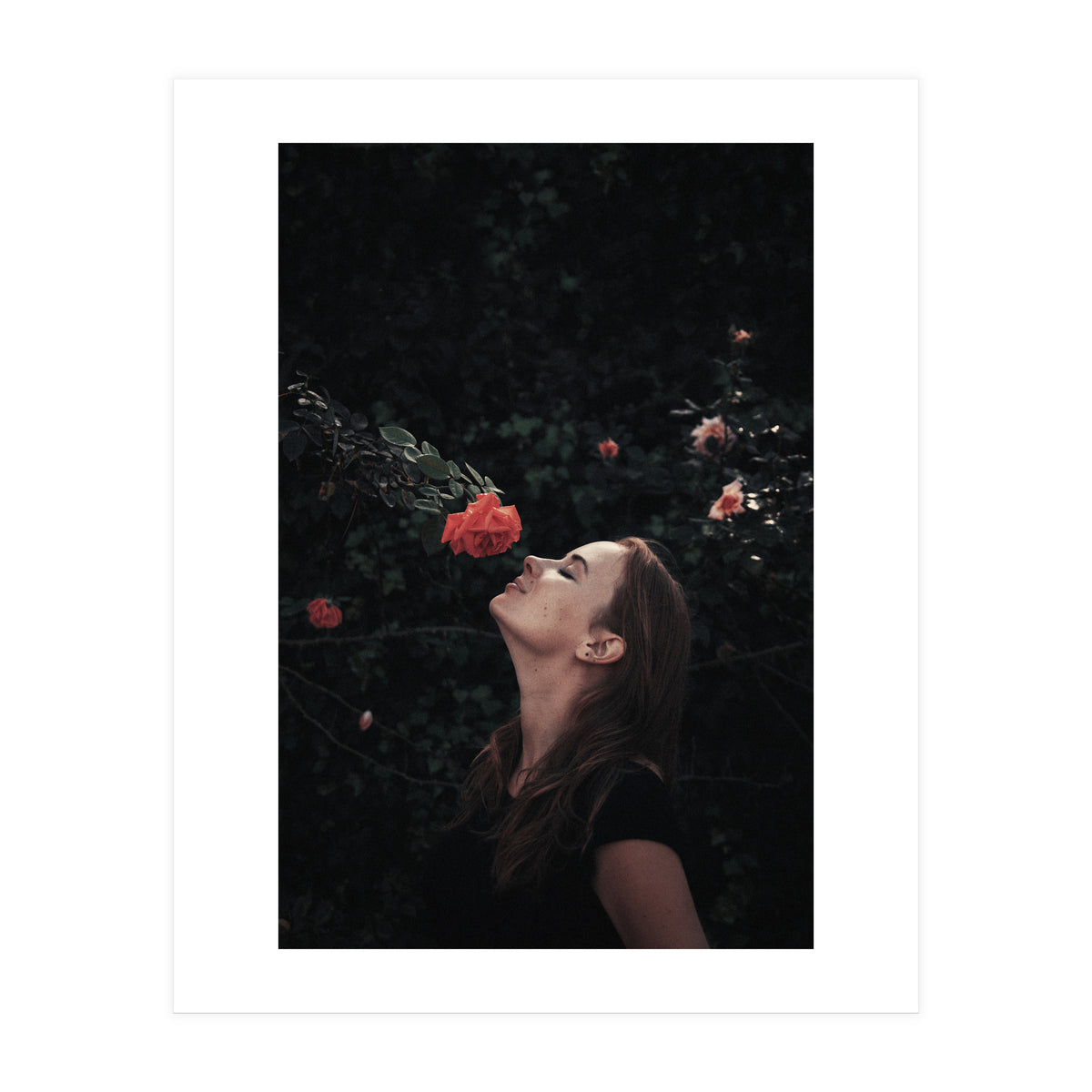 Kss Kss Meow Meow (Print Only)