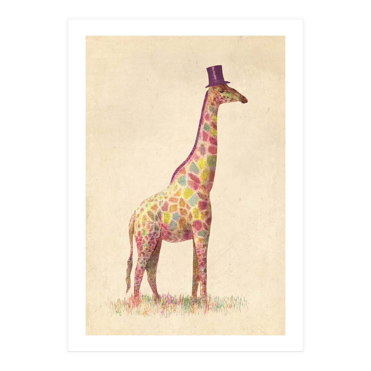 Fashionable Giraffe (Print Only)