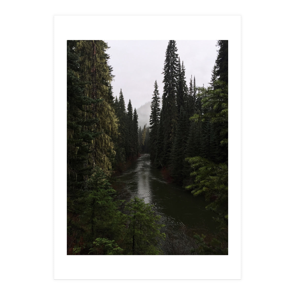 Evergreen State (Print Only)