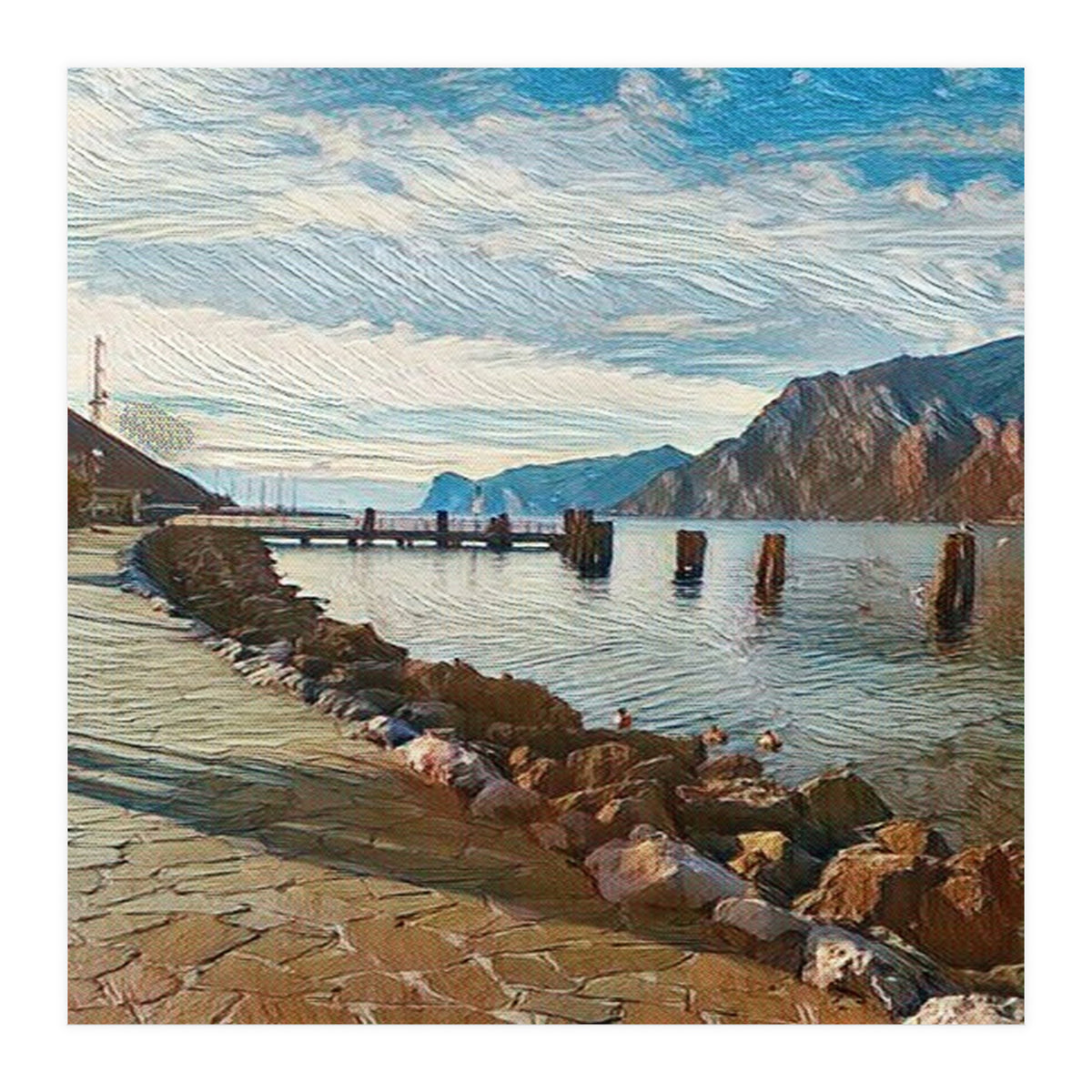 Ducks on Lake Garda, Italy. (Print Only)