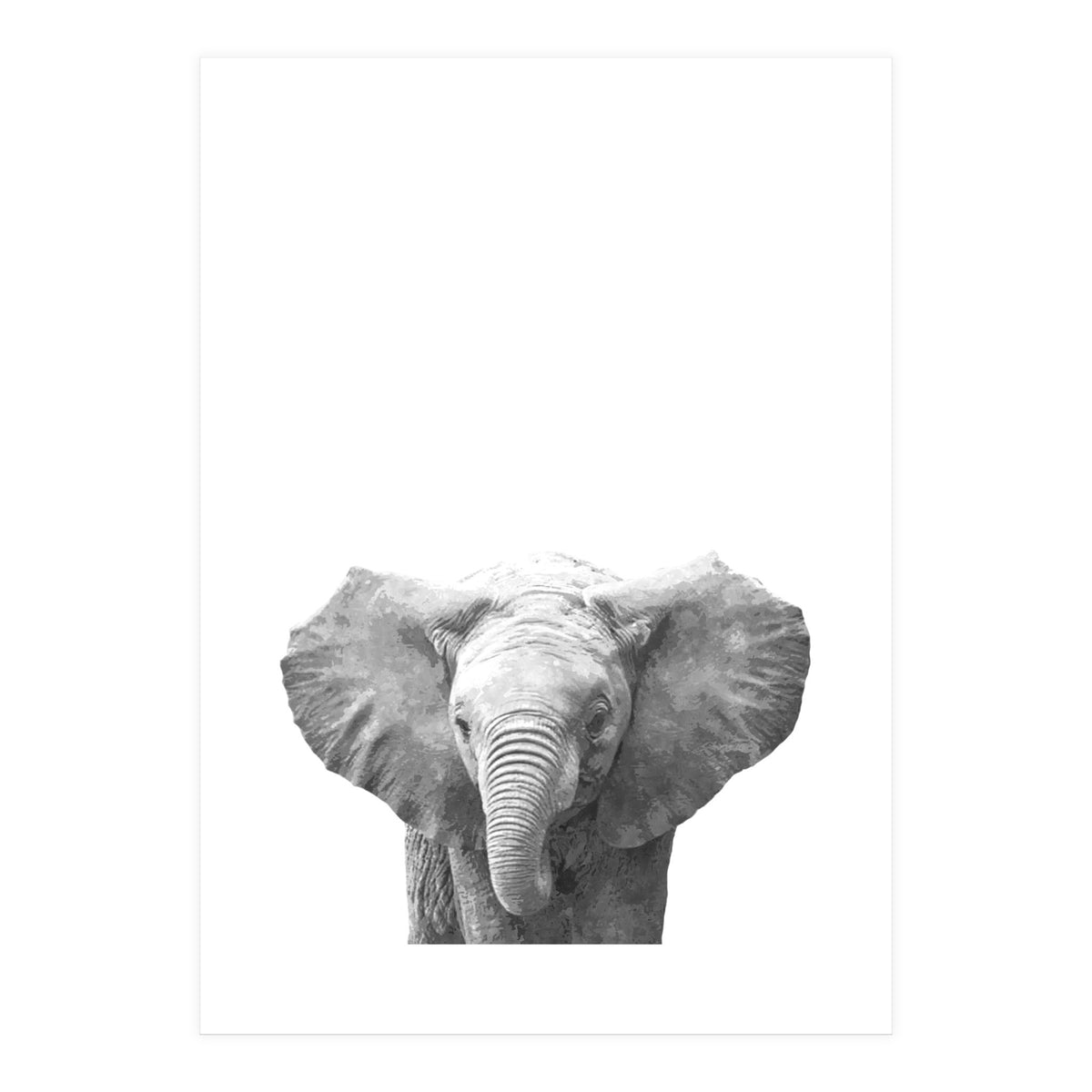 Black and White Baby Elephant  (Print Only)