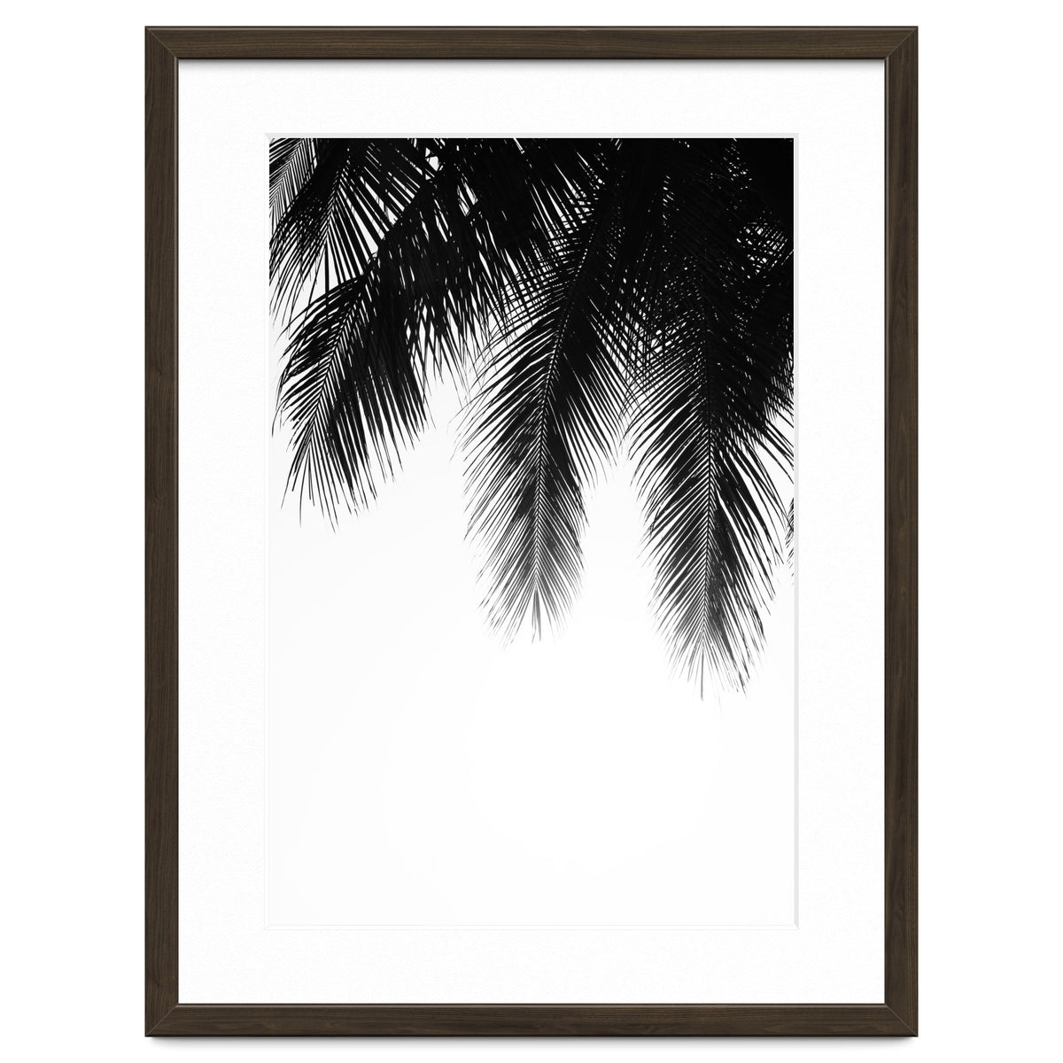 Palm leaves