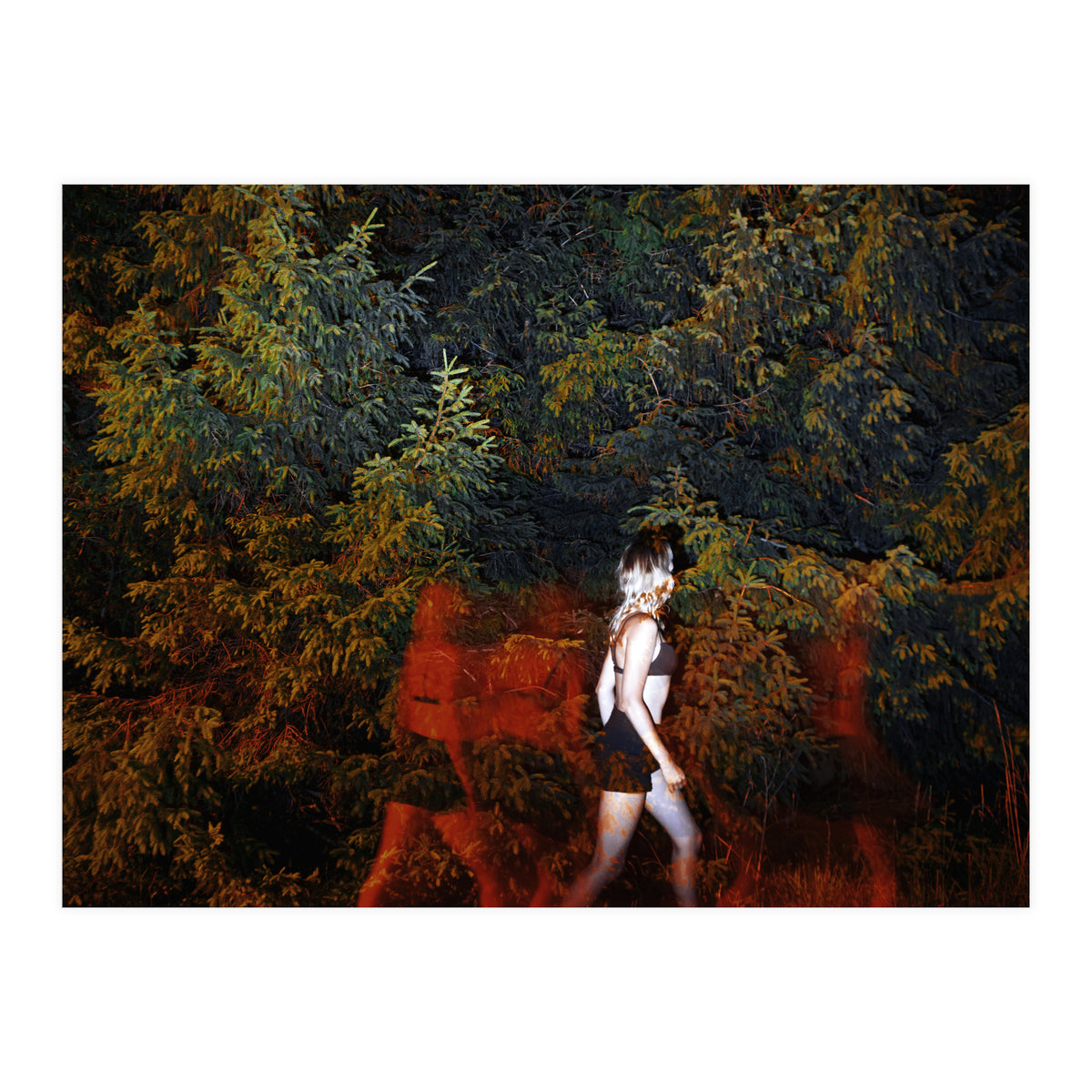 Red Shadows (Print Only)