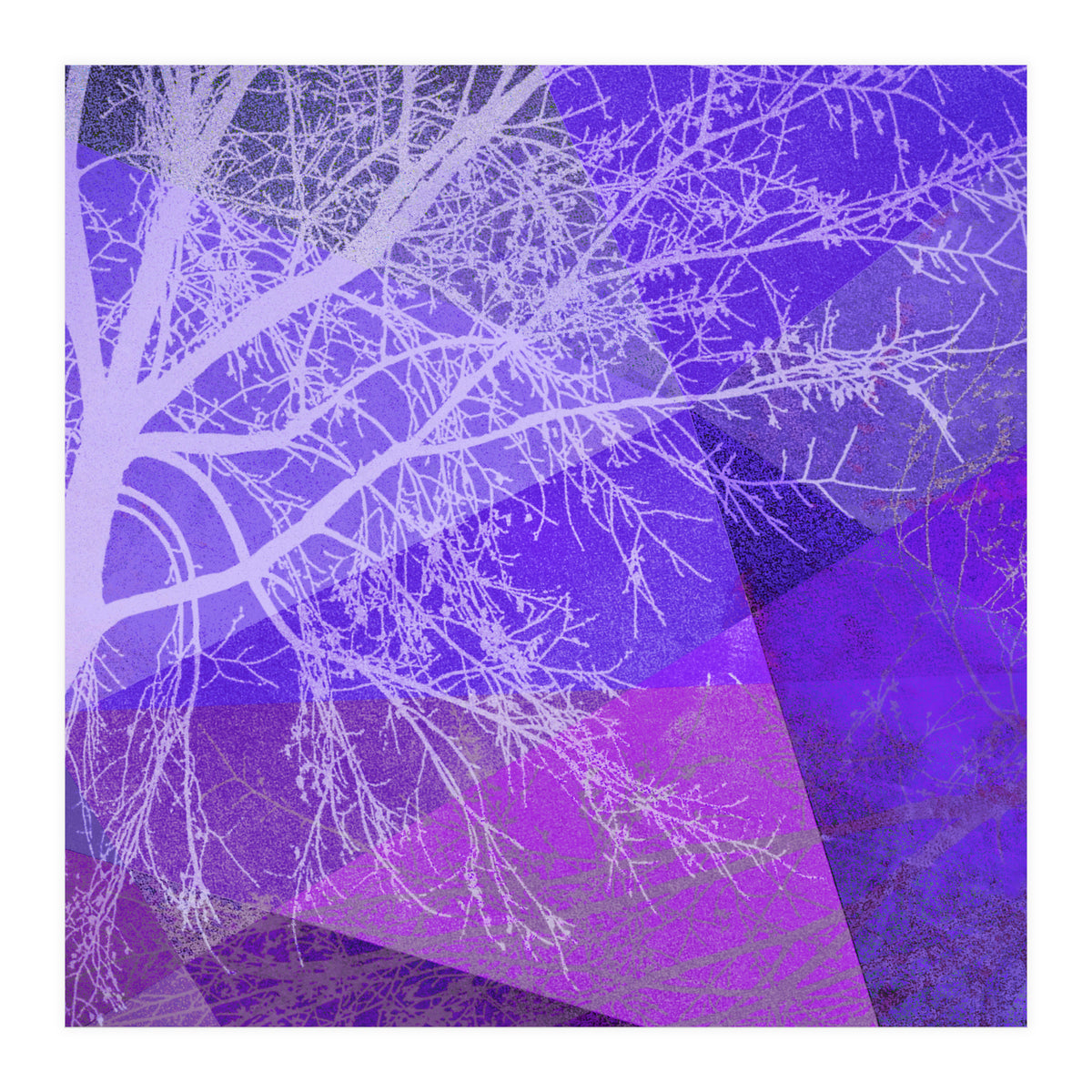 P19-D2 Trees and Triangles (Print Only)