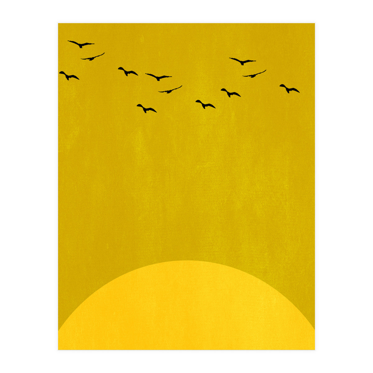 Sundance (Print Only)