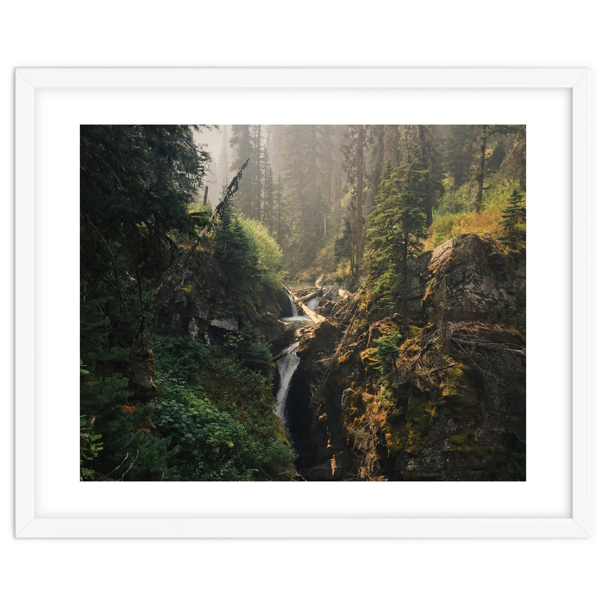 Glacier National Park I