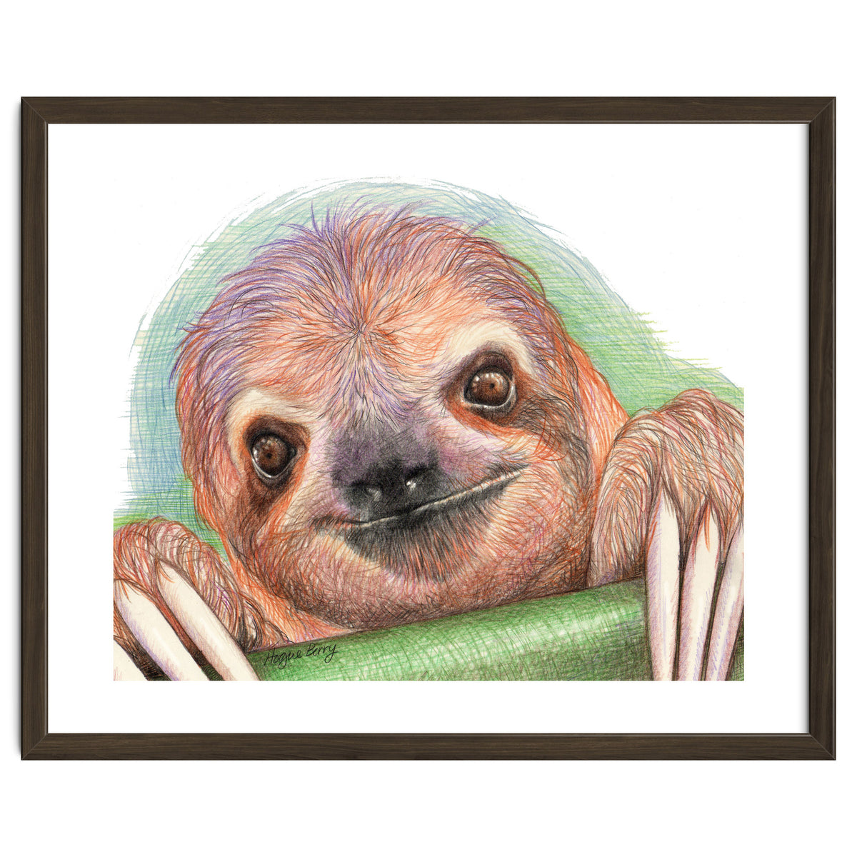 Smiling Sloth