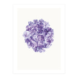 Cc Flower 01 (Print Only) thumbnail