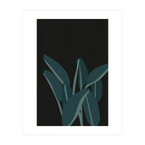 Bird Of Paradise (Print Only) thumbnail