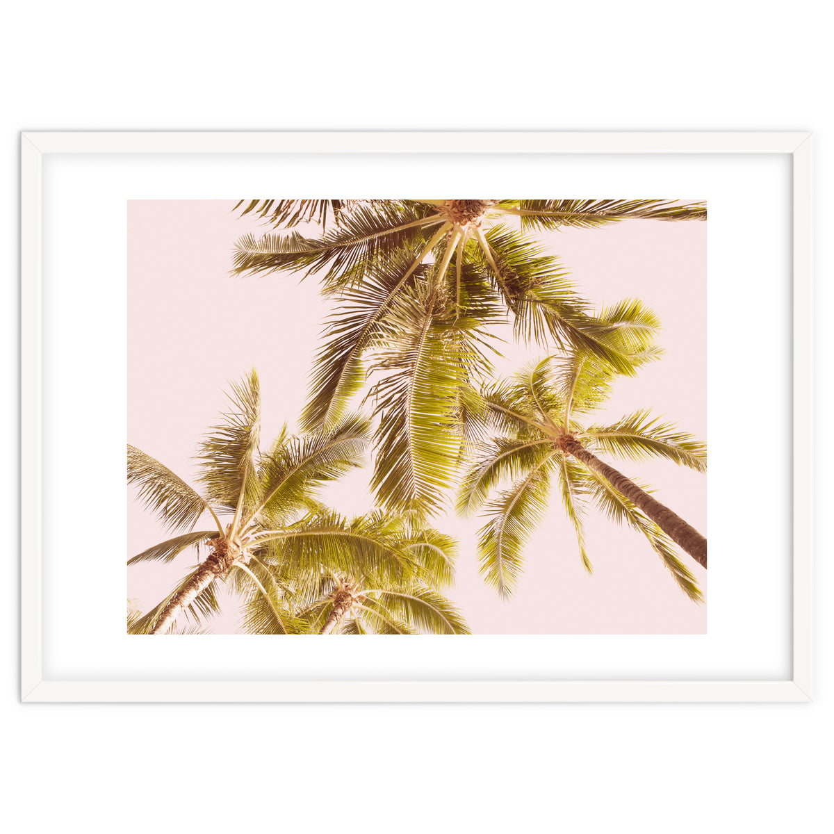 Blush Pink Boho Palm Trees