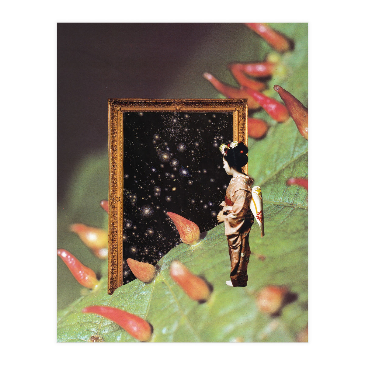 Cosmology (Print Only)