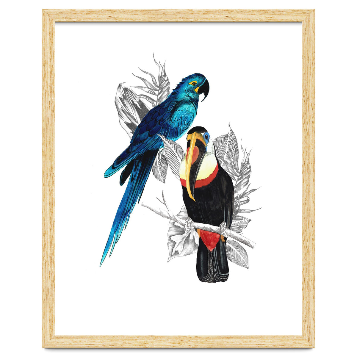The Toucan and the Parrot