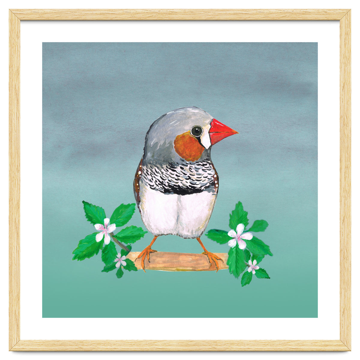 Zebra finch