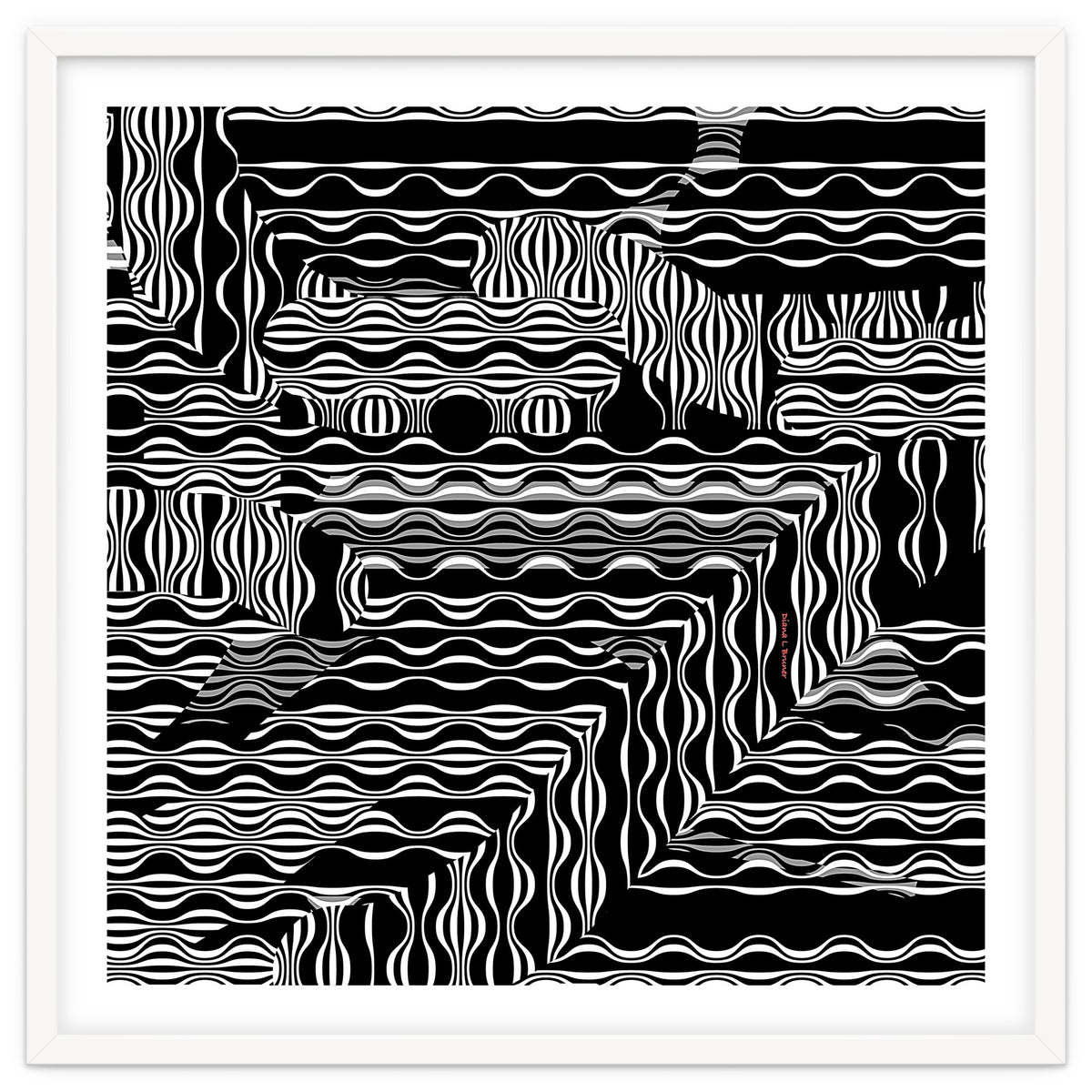 BLACK AND WHITE EXOTIC