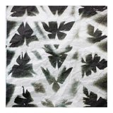 Dragonflies (Print Only) thumbnail