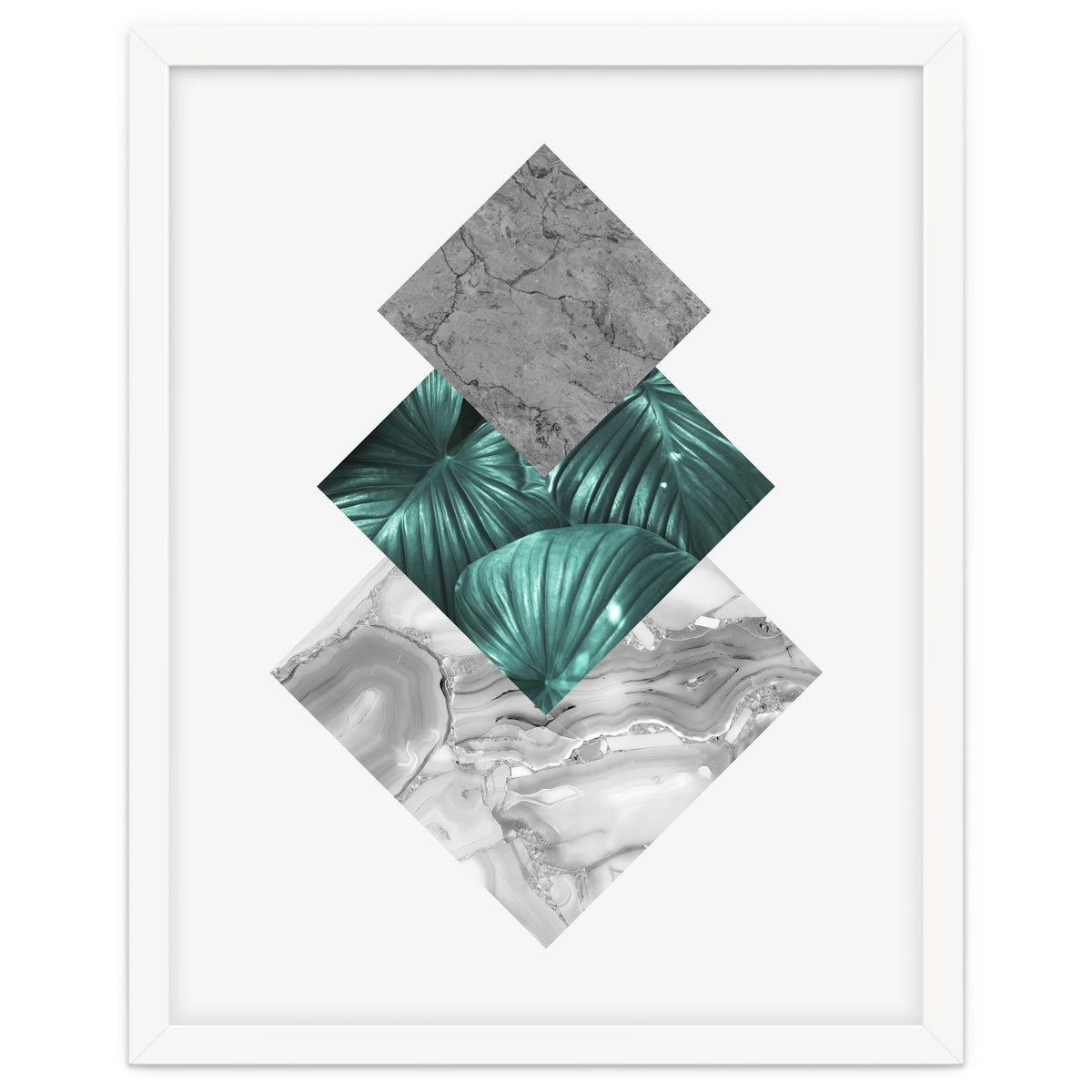 Botanical and geometric V