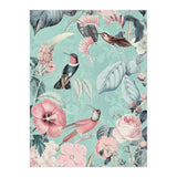 Pastel Hummingbirds (Print Only) thumbnail