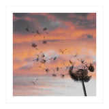 And The Days Went By (Print Only) thumbnail