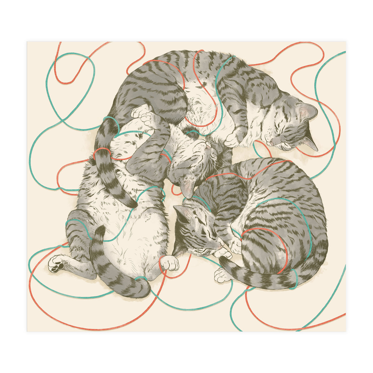 Cats (Print Only)