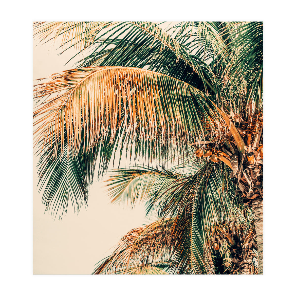 Tropic Summer  (Print Only)