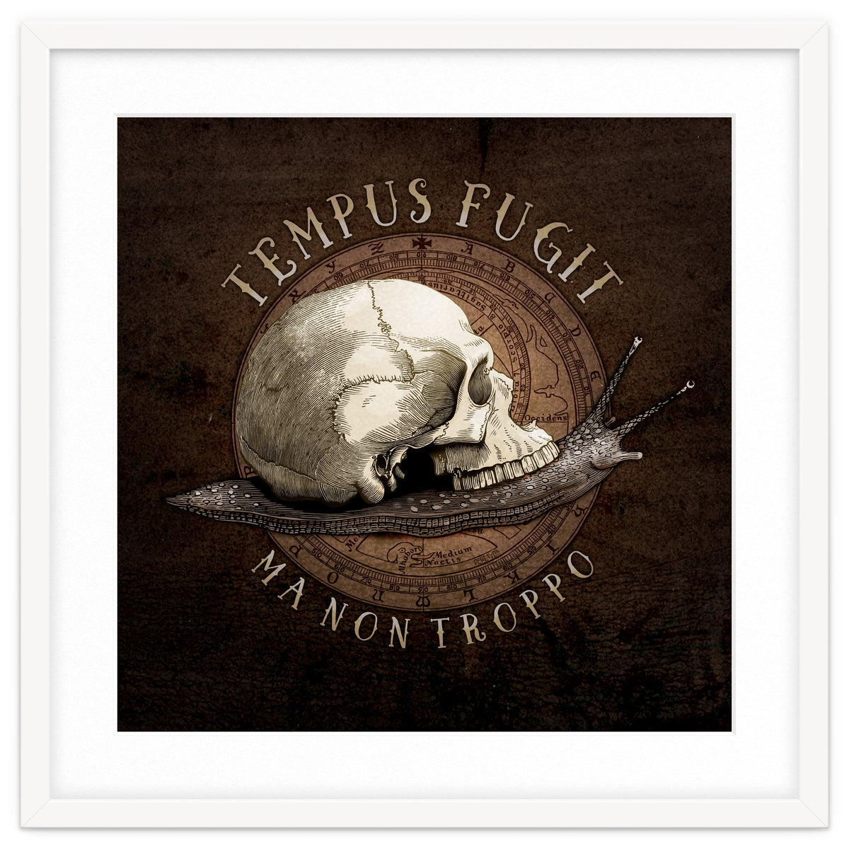 Tempus Fugit (ma non troppo)