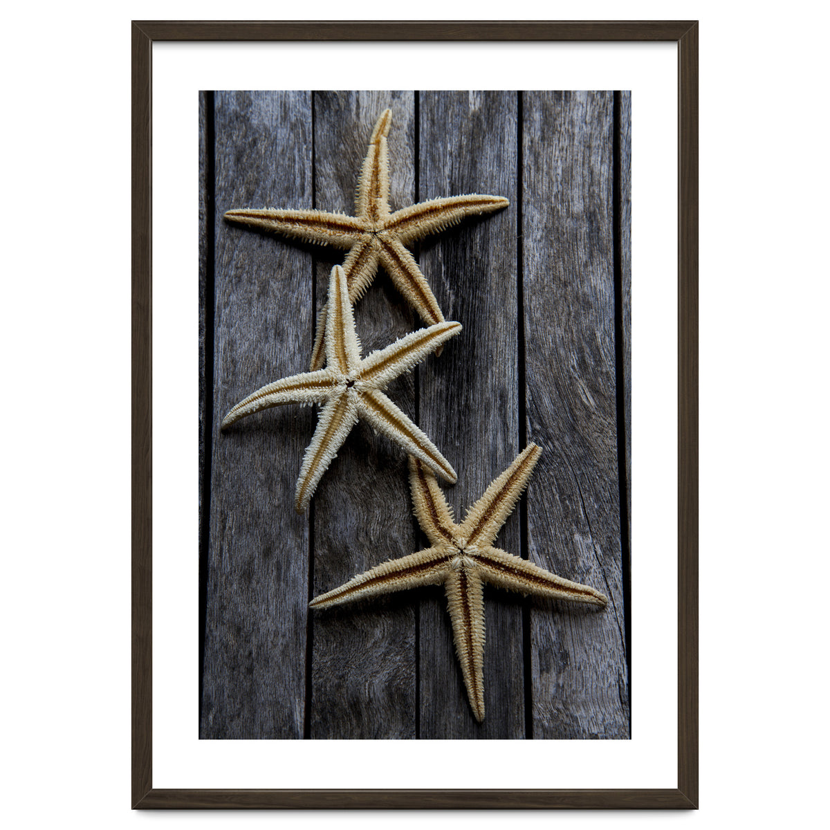Starfishes in wooden